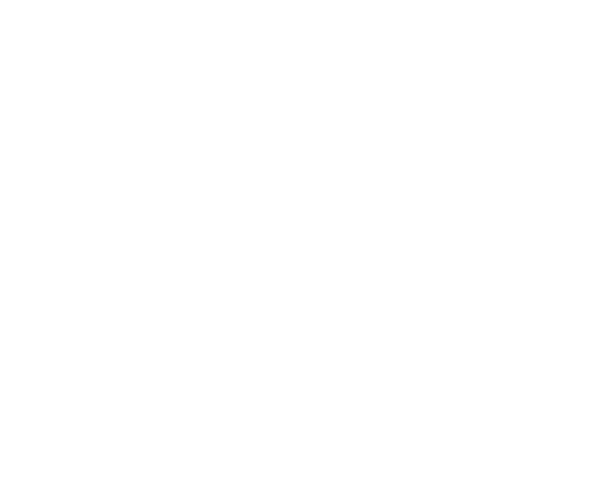 Logo Suplein