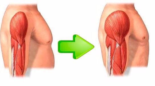 💪 ¿Cuántos gramos de proteína debes tomar para ganar masa muscular?
